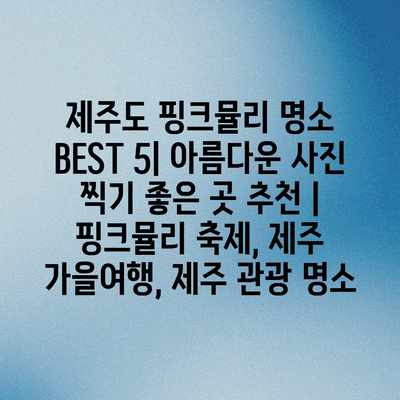 제주도 핑크뮬리 명소 BEST 5| 아름다운 사진 찍기 좋은 곳 추천 | 핑크뮬리 축제, 제주 가을여행, 제주 관광 명소 제주도 핑크뮬리 명소 BEST 5| 아름다운 사진 찍기 좋은 곳 추천 | 핑크뮬리 축제, 제주 가을여행, 제주 관광 명소