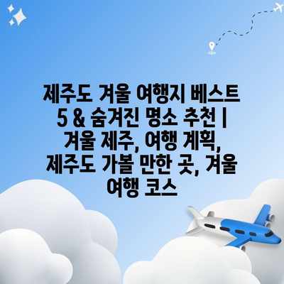 제주도 겨울 여행지 베스트 5 & 숨겨진 명소 추천 | 겨울 제주, 여행 계획, 제주도 가볼 만한 곳, 겨울 여행 코스
