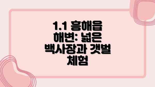 1.1 흥해읍 해변: 넓은 백사장과 갯벌 체험
