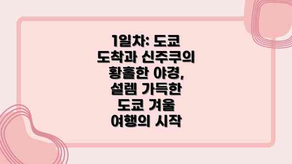 1일차: 도쿄 도착과 신주쿠의 황홀한 야경, 설렘 가득한 도쿄 겨울 여행의 시작