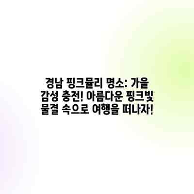 경남 핑크뮬리 명소: 가을 감성 충전! 아름다운 핑크빛 물결 속으로 여행을 떠나자! 경남 핑크뮬리 명소: 가을 감성 충전! 아름다운 핑크빛 물결 속으로 여행을 떠나자!