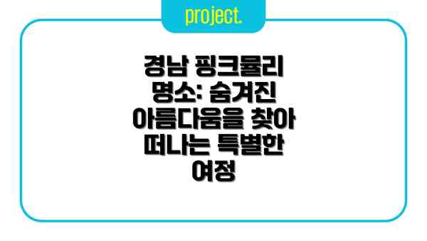 경남 핑크뮬리 명소: 숨겨진 아름다움을 찾아 떠나는 특별한 여정