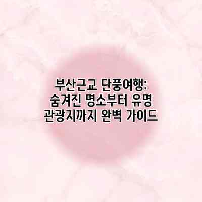 부산근교 단풍여행: 숨겨진 명소부터 유명 관광지까지 완벽 가이드 부산근교 단풍여행: 숨겨진 명소부터 유명 관광지까지 완벽 가이드