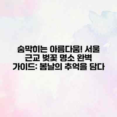 숨막히는 아름다움! 서울 근교 벚꽃 명소 완벽 가이드: 봄날의 추억을 담다