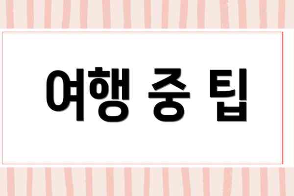 여행 중 팁