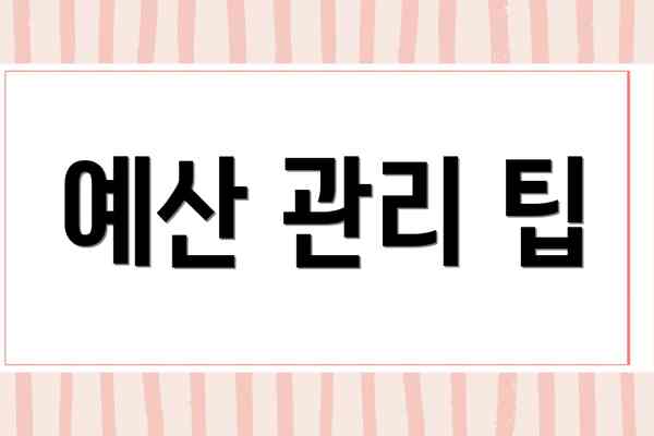 예산 관리 팁