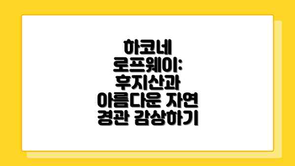 하코네 로프웨이:  후지산과 아름다운 자연 경관 감상하기