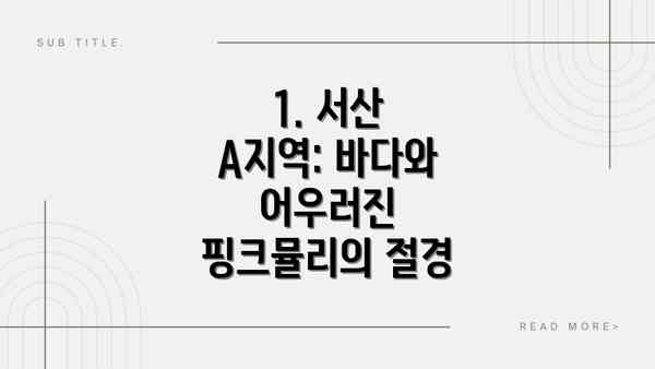 1. 서산 A지역: 바다와 어우러진 핑크뮬리의 절경