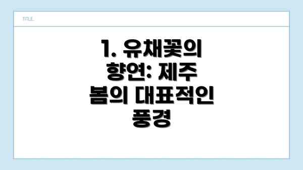 1. 유채꽃의 향연: 제주 봄의 대표적인 풍경