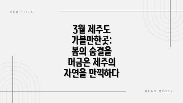 3월 제주도 가볼만한곳: 봄의 숨결을 머금은 제주의 자연을 만끽하다