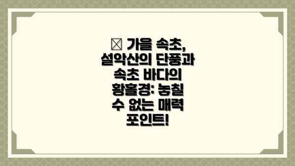 🍂 가을 속초, 설악산의 단풍과 속초 바다의 황홀경: 놓칠 수 없는 매력 포인트!