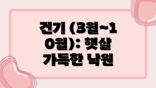 건기 (3월~10월): 햇살 가득한 낙원