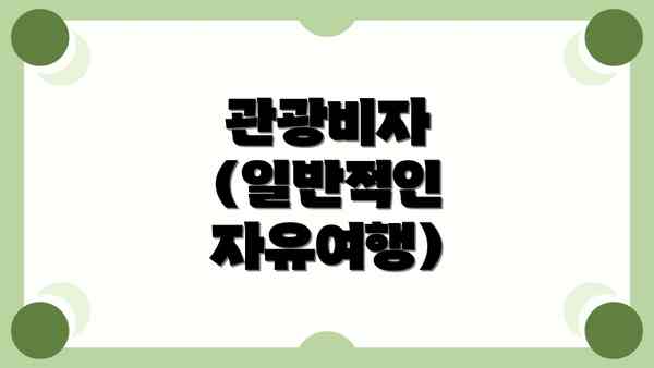 관광비자 (일반적인 자유여행)