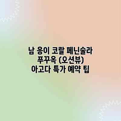 남 응이 코랄 페닌술라 푸꾸옥 (오션뷰) 아고다 특가 예약 팁 남 응이 코랄 페닌술라 푸꾸옥 (오션뷰) 아고다 특가 예약 팁
