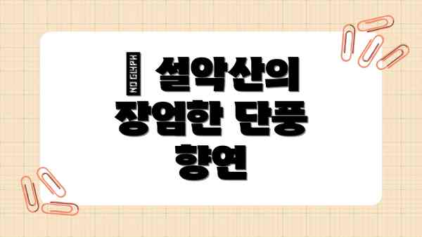 🍁 설악산의 장엄한 단풍 향연