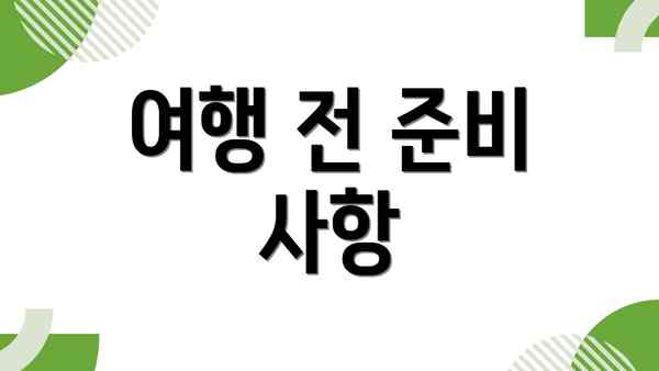 여행 전 준비 사항