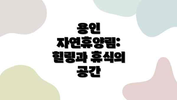 용인 자연휴양림:  힐링과 휴식의 공간