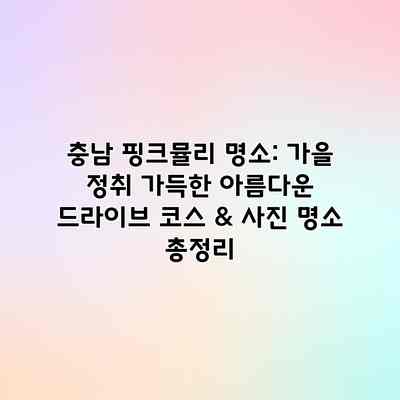 충남 핑크뮬리 명소: 가을 정취 가득한 아름다운 드라이브 코스 & 사진 명소 총정리
