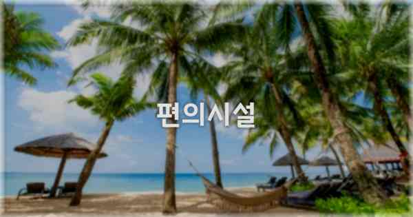 🛎️ 편의시설