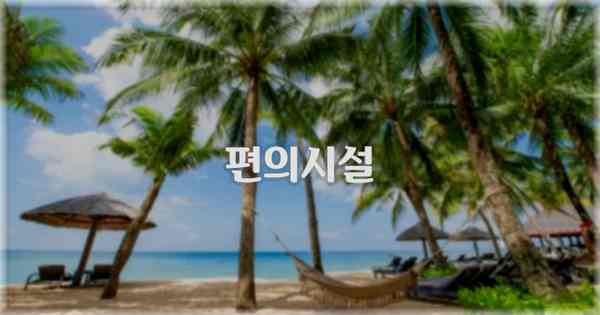 🛎️ 편의시설