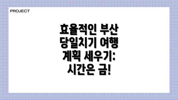 효율적인 부산 당일치기 여행 계획 세우기: 시간은 금!