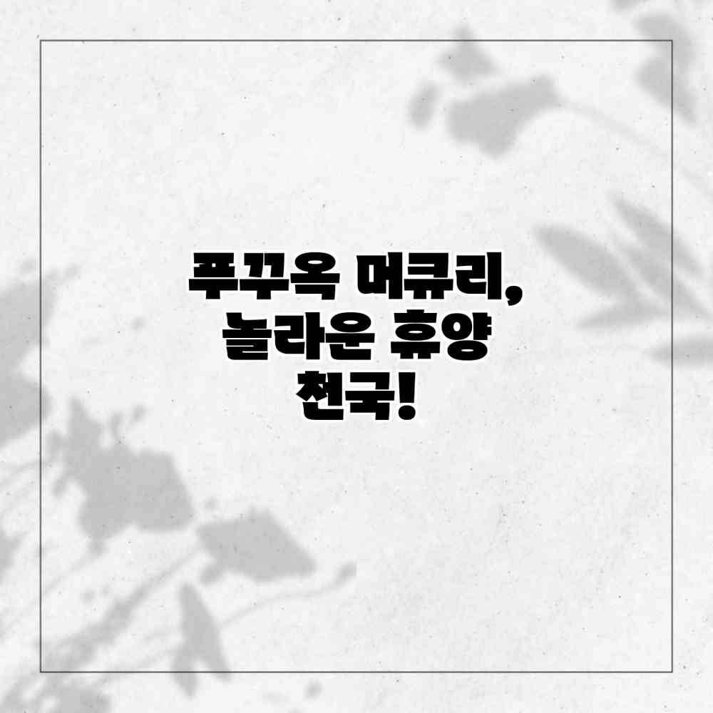 푸꾸옥 머큐리, 놀라운 휴양 천국!