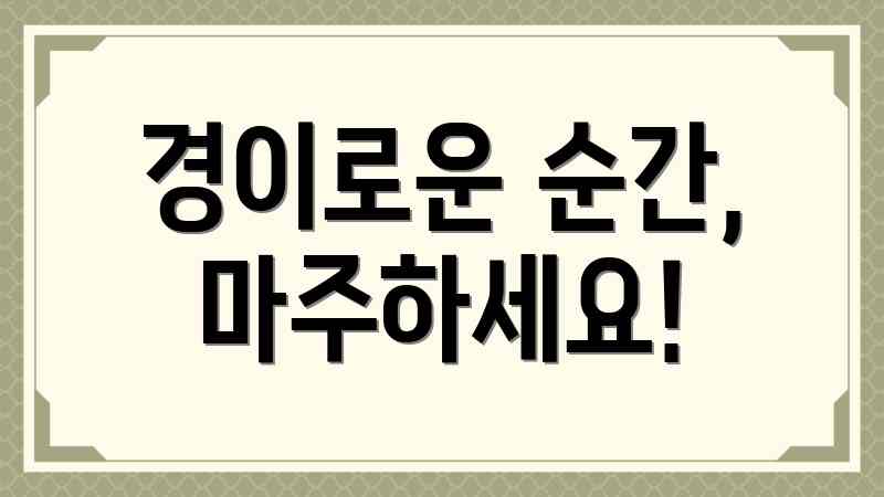 경이로운 순간, 마주하세요!