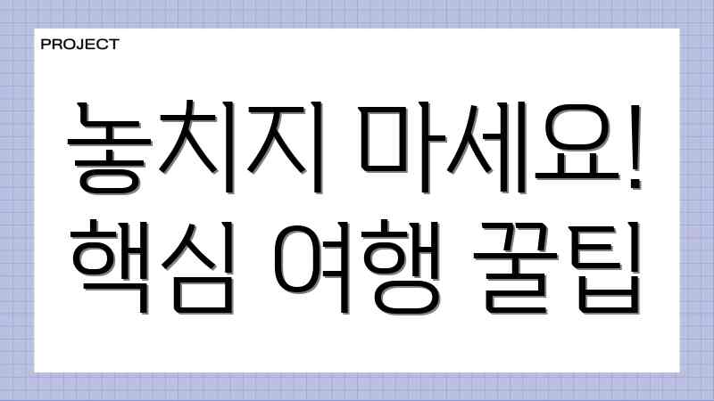 놓치지 마세요! 핵심 여행 꿀팁